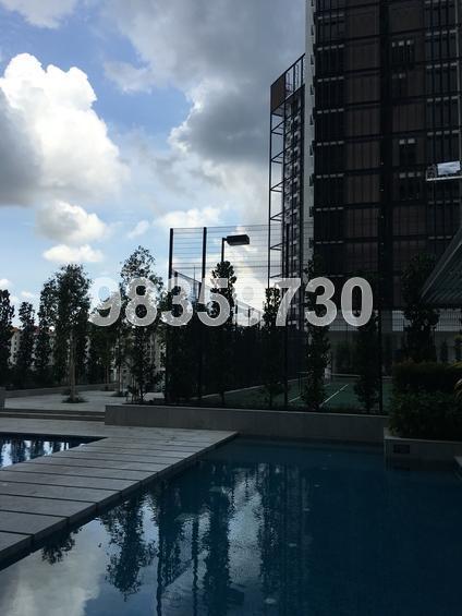 The Hillier (D23), Apartment #128273912